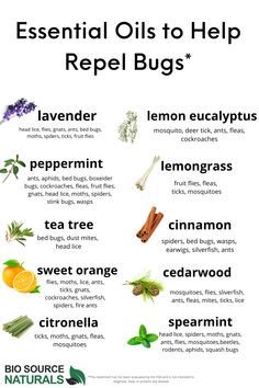 Essential Oils That Repel Bugs, Diy Insect Repellent For Home, Bee Repellent Essential Oils, Natural Indoor Bug Repellent, Essential Oil Pest Control, Gnat Repellant Essential Oils, Essential Oils Insect Repellent, Mosquito Repellant Essential Oils