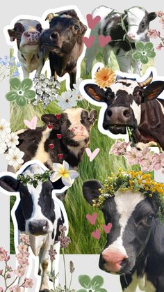 a collage of cows with flowers and hearts on their heads, surrounded by clover leaves