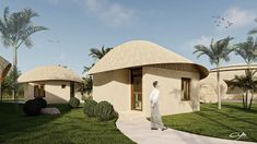 an artist's rendering of a house in the middle of palm trees and grass