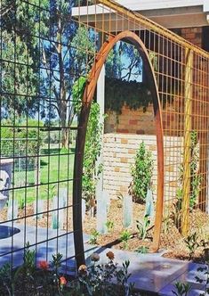 an outdoor garden area with a circular metal trellis