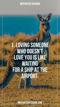 a kangaroo standing on its hind legs with the caption saying loving someone who doesn't love you is like waiting for a ship at the airport