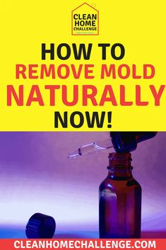 a bottle with the words how to remove mold naturally now