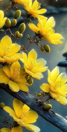 some yellow flowers are on a branch by the water and stars in the sky behind them