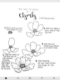 the instructions for how to draw flowers