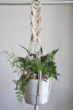 a potted plant hanging from a rope in a white container with greenery on it