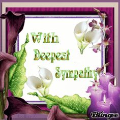 the words with deepest sympathy are surrounded by purple candles and green leafy leaves in front of a white background