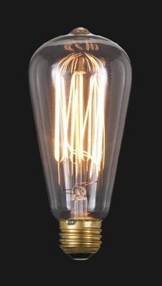 Edison Base Squirrel Cage Light Bulbs, 30, 40, or 60 watt Squirrel Cage, Antique Lamp, Cage Light, Vintage Light Bulbs, Filament Bulb Lighting, Industrial Style Lighting, Edison Lighting, Vintage Bulb, Copper Lamps