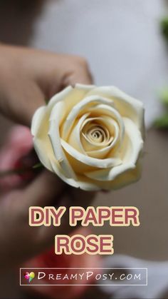 someone holding a paper rose in their hand with the words diy paper rose on it