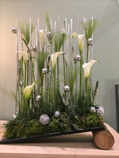 an arrangement of green plants and silver balls on a wooden table with a wood slice