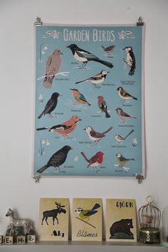 the birds are displayed on the wall above the mantle