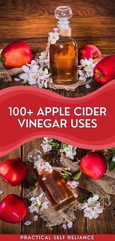 Delve into 100+ Apple Cider Vinegar Uses for Cleaning & More. As a natural, eco-friendly alternative, apple cider vinegar is an indispensable tool in modern households. Enhance your DIY endeavors with insights from our DIY Homestead Crafts Ideas, marrying functionality with creativity. Apple Cider Vinegar For Cleaning, Vinegar For Cleaning, Uses For Apple Cider, Homestead Crafts, Apple Cider Vinegar Uses, Apple Cider Recipe, Emergency Food Storage