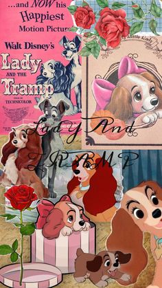 the lady and the tramp movie poster is shown with roses in front of it