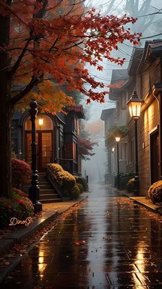 an empty street in the rain with autumn leaves