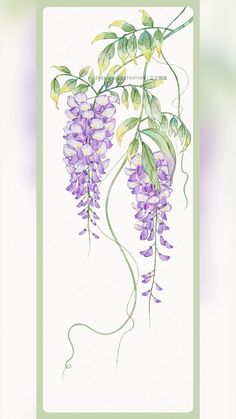 a painting of purple flowers on a white background