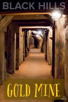 an image of a tunnel with the words gold mine on it's front cover