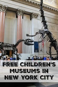 the free children's museum in new york city is full of dinosaurs and skeletons