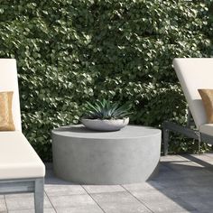 two white chairs sitting next to each other in front of a green wall with plants