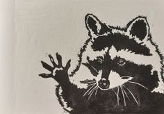 a black and white drawing of a raccoon holding its hand up to the camera