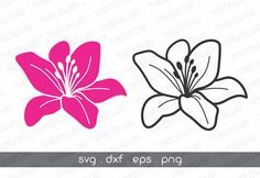 two pink and white flowers with the word svg dxf eps png