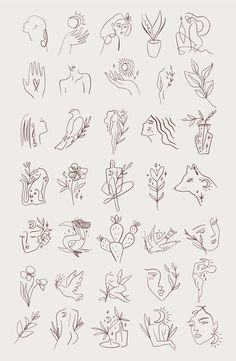 a bunch of hand drawn flowers and plants