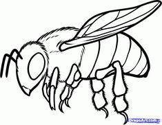 a black and white drawing of a bee