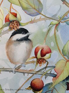 a watercolor painting of a bird on a branch with leaves and acorns