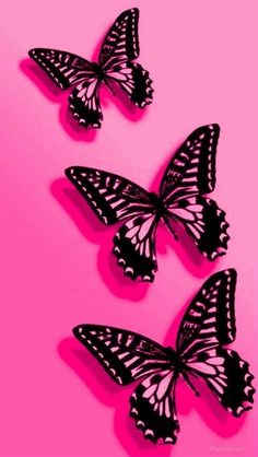 three black and white butterflies on a pink background