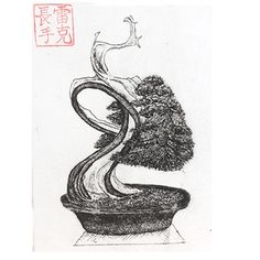 an ink drawing of a bonsai tree in a pot with writing on the side