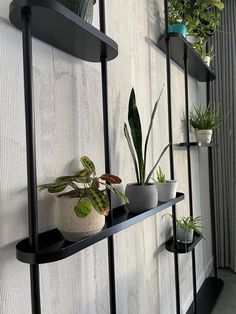 three black shelves with plants on them