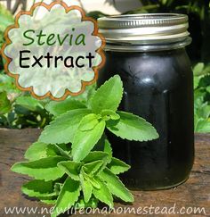 a jar filled with black liquid next to a plant on a wooden table in front of some plants