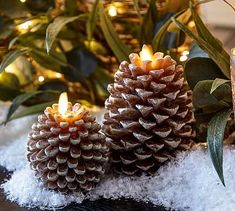 two pine cones sitting on top of snow covered ground