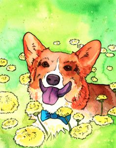 a watercolor painting of a corgi laying in dandelions