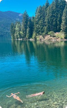 two people swimming in the water near some trees