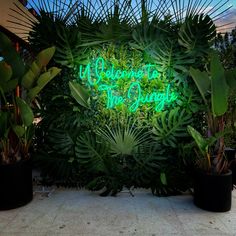 there is a neon sign that says welcome to the jungle in front of some plants