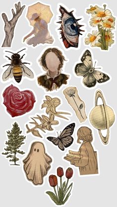 an assortment of stickers with different types of insects