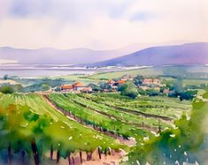 a watercolor painting of a vineyard in the country side with houses and mountains in the background