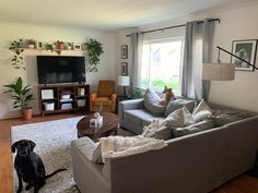 a living room with couches and a dog sitting on the floor in front of it