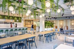 an empty restaurant with tables, chairs and plants hanging from the ceiling