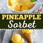 the cover of pineapple sorbet is shown with two scoops of ice cream