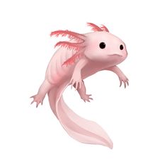 an animal with pink feathers on it's tail