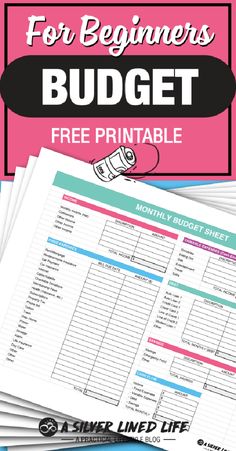 monthly family budget spreadsheet Budgeting For Beginners Printables Free, Budget Planner Printable Free, Monthly Budget Sheet, Free Budget Printables, Budget Sheet, Budget Sheets, Mindset Coach