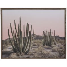 a desert scene with cacti in the foreground and a pink sky above