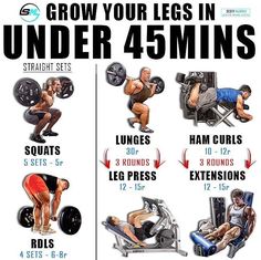 a poster showing how to use the gym bench for legs and chest workouts, with instructions