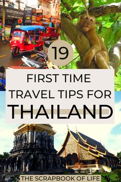 the top ten travel tips for thailand