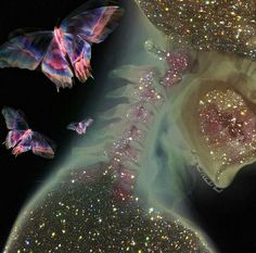 an image of some very pretty butterflies in the sky with glitters on their wings