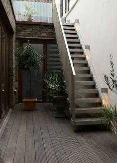 an outdoor stair case with plants and potted plants