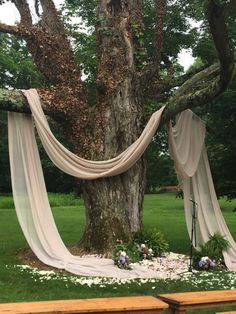 a wooden bench sitting next to a tree with drapes hanging from it's branches