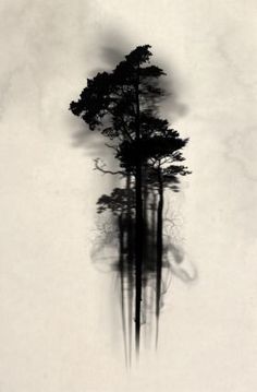 a black and white photo of trees in the fog