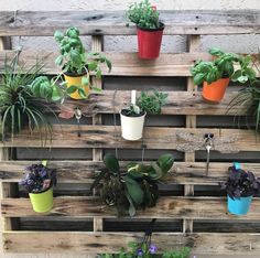 several potted plants are hanging on a wooden pallet, along with other planters