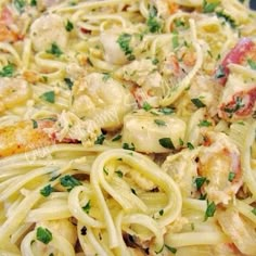 pasta with chicken, shrimp and parsley in a white sauce